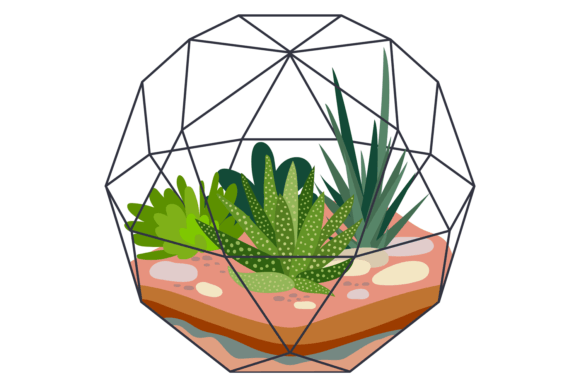 Botanical Indoor Terrarium: Cute Decorat for Modern Living Spaces