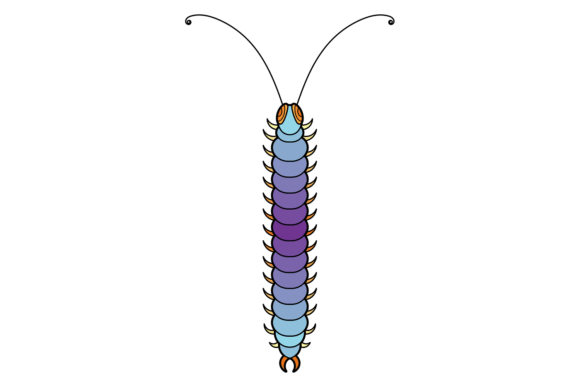 Centipede Icon. Color Stylized Animal. D