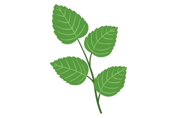 Green Leaves on Stem. Bouquet Element. D: A Guide to Choosing the Right Decorative Botany for Your Needs
